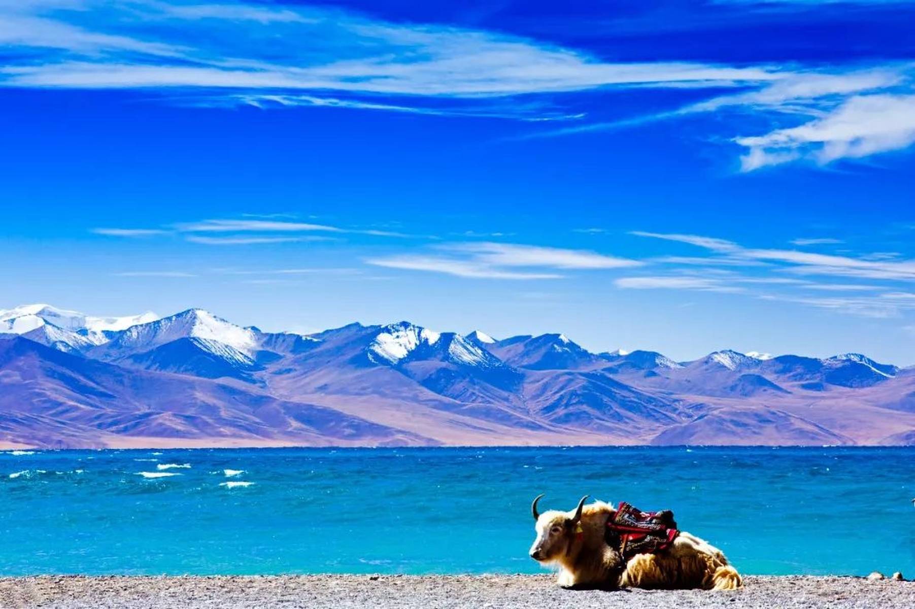 西藏心灵之旅,探寻纯净奇迹的未知之美