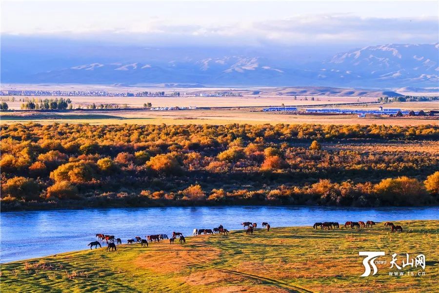 浪漫新疆,与自然共舞的邂逅之旅