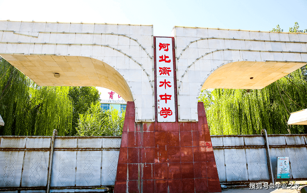 衡水盛会,嘉宾云集,共襄盛举