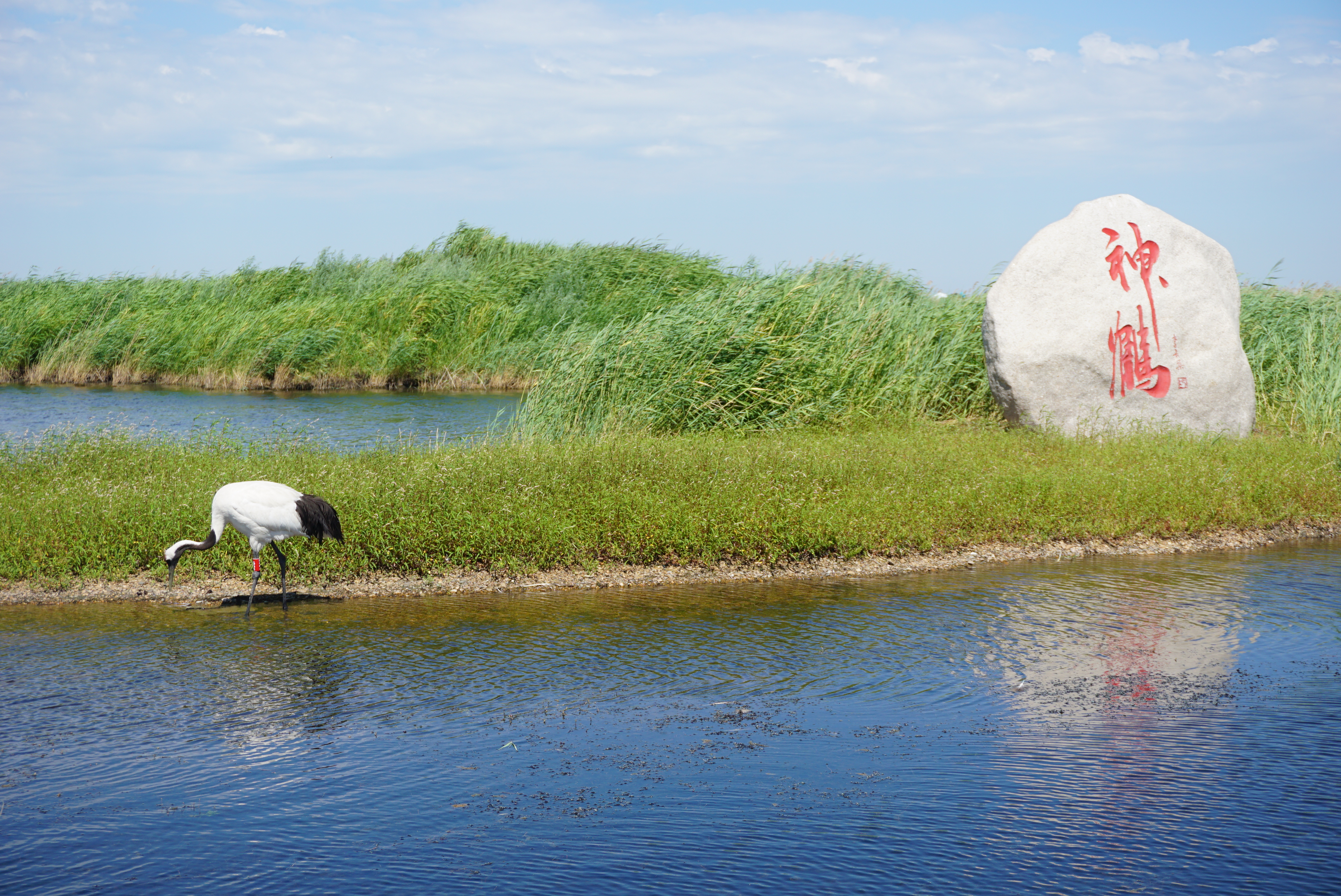 运城自然美景探索之旅