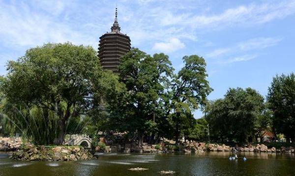 辽阳之光，科技重塑生活的力量，高科技产品的新纪元启动